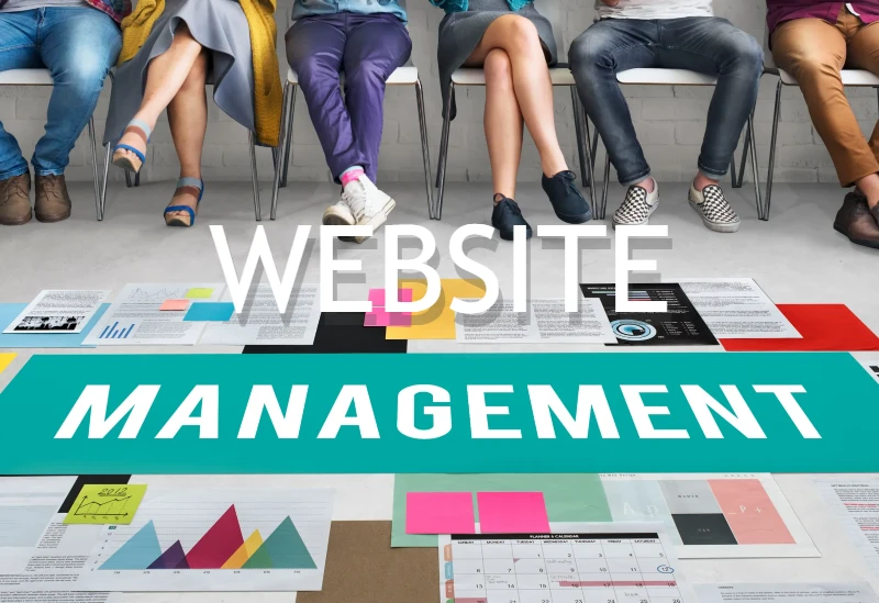 website management articles